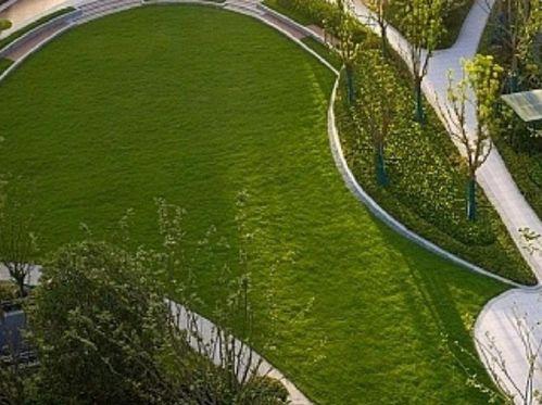 临平公园爆料最新消息视频